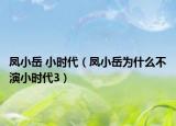 凤小岳 小时代（凤小岳为什么不演小时代3）