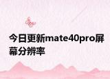 今日更新mate40pro屏幕分辨率