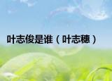 叶志俊是谁（叶志穗）