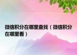 微信积分在哪里查找（微信积分在哪里看）