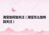 淘宝如何加关注（淘宝怎么加特别关注）