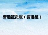 曹远征贡献（曹远征）