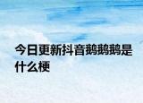今日更新抖音鹅鹅鹅是什么梗