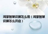 鸿蒙智慧识屏怎么用（鸿蒙智慧识屏怎么开启）
