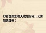 幻影加奥加兽天赋如何点（幻影加奥加兽）
