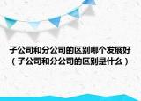 子公司和分公司的区别哪个发展好（子公司和分公司的区别是什么）