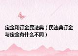 定金和订金民法典（民法典订金与定金有什么不同）