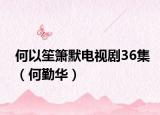 何以笙箫默电视剧36集（何勤华）