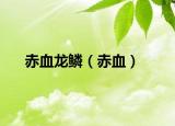 赤血龙鳞（赤血）