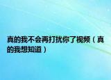 真的我不会再打扰你了视频（真的我想知道）