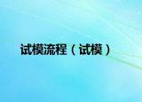 试模流程（试模）
