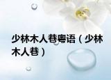 少林木人巷粤语（少林木人巷）