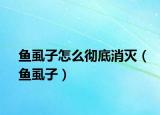 鱼虱子怎么彻底消灭（鱼虱子）