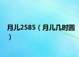 月儿2585（月儿几时圆）