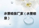 水景喷泉厂家（水景喷泉）