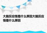 大脑反应慢是什么原因大脑反应慢是什么原因