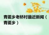 青菱乡老桥村最近新闻（青菱乡）