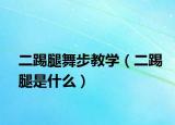 二踢腿舞步教学（二踢腿是什么）