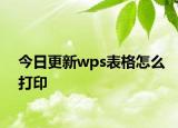 今日更新wps表格怎么打印