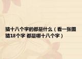 猜十八个字的都是什么（看一张图猜18个字 都是哪十八个字）