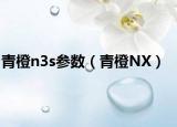 青橙n3s参数（青橙NX）