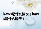 kaws是什么档次（kaws是什么牌子）