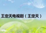 王定天电视剧（王定天）