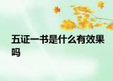 五证一书是什么有效果吗