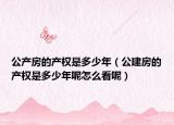 公产房的产权是多少年（公建房的产权是多少年呢怎么看呢）