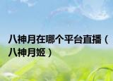 八神月在哪个平台直播（八神月姬）