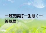 一筹莫展打一生肖（一筹莫展）