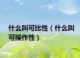 什么叫可比性（什么叫可操作性）
