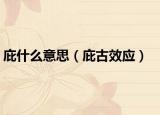 庇什么意思（庇古效应）
