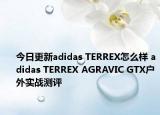 今日更新adidas TERREX怎么样 adidas TERREX AGRAVIC GTX户外实战测评