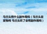 马兰头有什么副作用吗（马兰头是发物吗 马兰头吃了会有副作用吗）