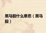 黑马股什么意思（黑马股）