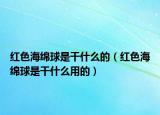 红色海绵球是干什么的（红色海绵球是干什么用的）