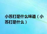 小苏打是什么味道（小苏打是什么）