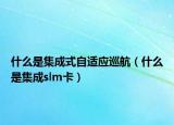 什么是集成式自适应巡航（什么是集成slm卡）