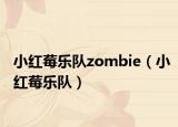 小红莓乐队zombie（小红莓乐队）