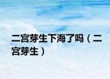 二宫芽生下海了吗（二宫芽生）