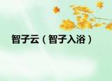 智子云（智子入浴）