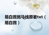 易白首斑马线原著txt（易白首）