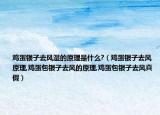 鸡蛋银子去风湿的原理是什么?（鸡蛋银子去风原理,鸡蛋包银子去风的原理,鸡蛋包银子去风真假）