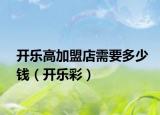 开乐高加盟店需要多少钱（开乐彩）