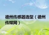 德州传感器选型（德州传媒网）
