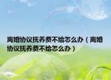 离婚协议抚养费不给怎么办（离婚协议抚养费不给怎么办）