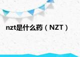 nzt是什么药（NZT）