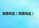 惊恶先生（惊恶先生）