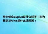 华为畅享10plus是什么样子（华为畅享10plus是什么处理器）